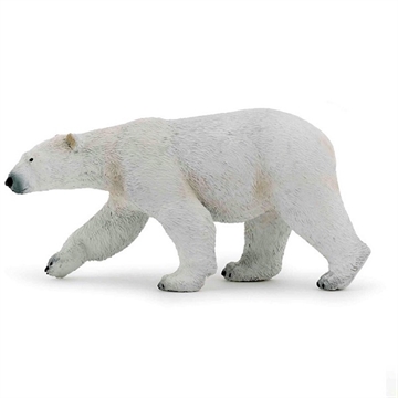 Isbjørn gående